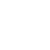 Digital Probe Team logo